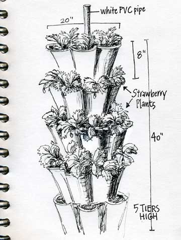 Pen & Ink Strawberry Condo by Janet Takahashi