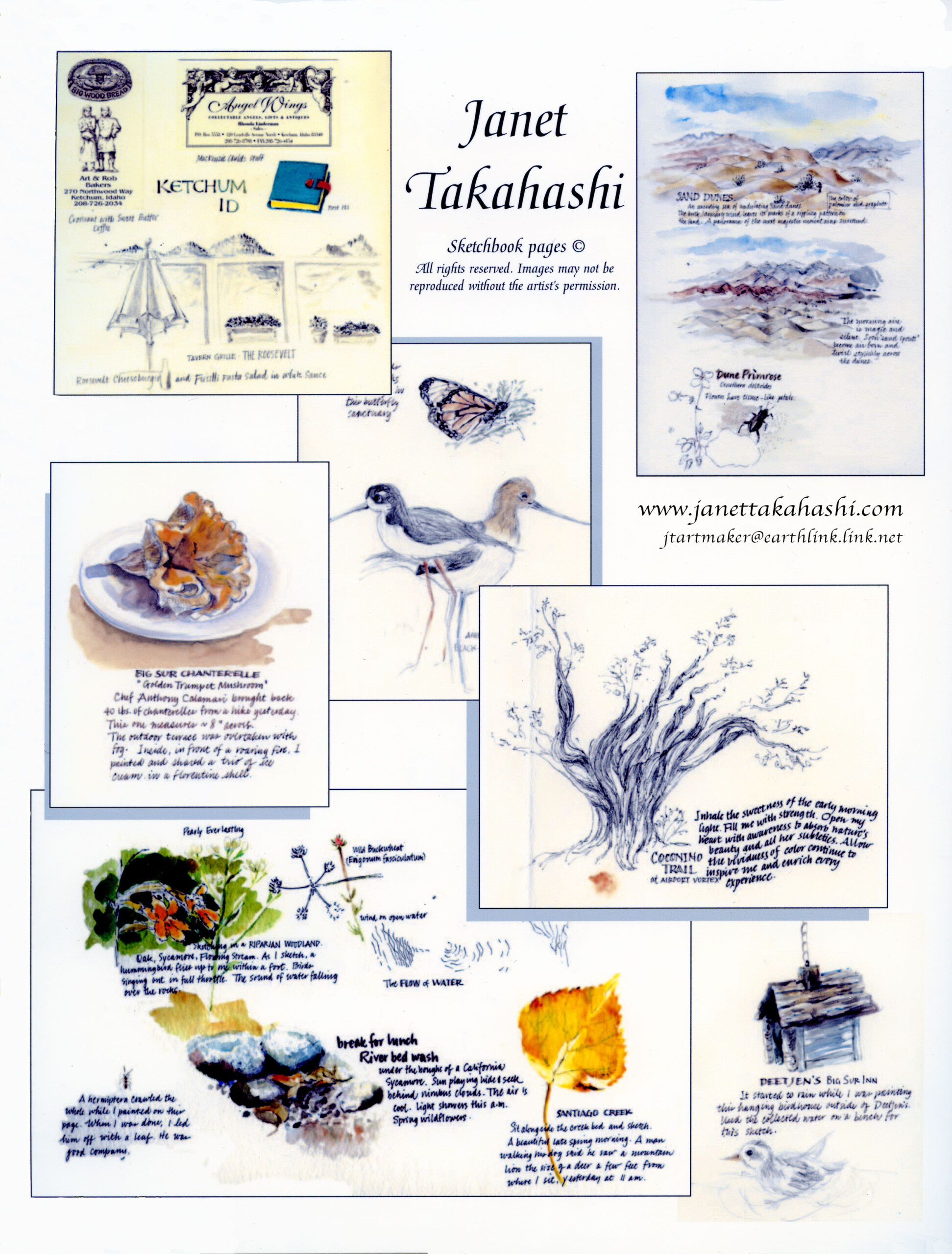 Sketchbook Montage by Janet Takahashi