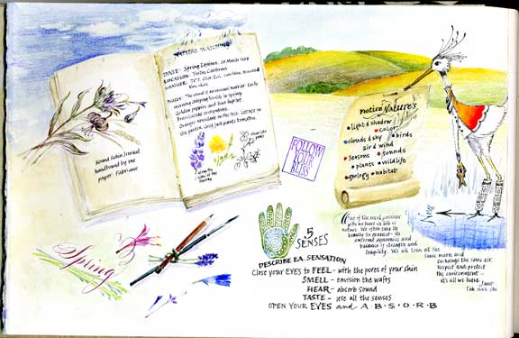Nature sketch page by Janet Takahashi