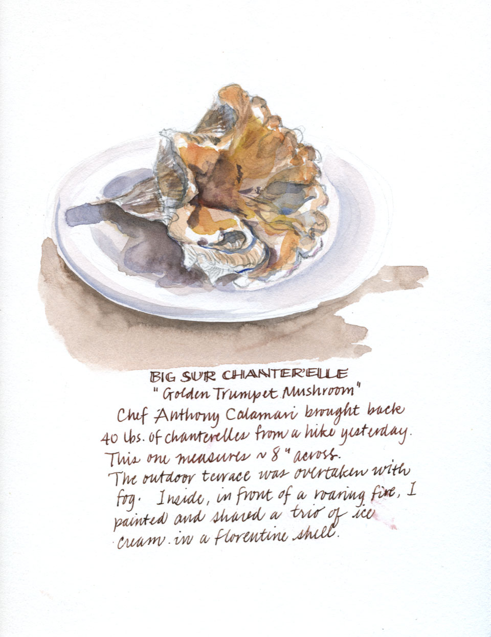Chanterelle Mushroom watercolor by Janet Takahashi